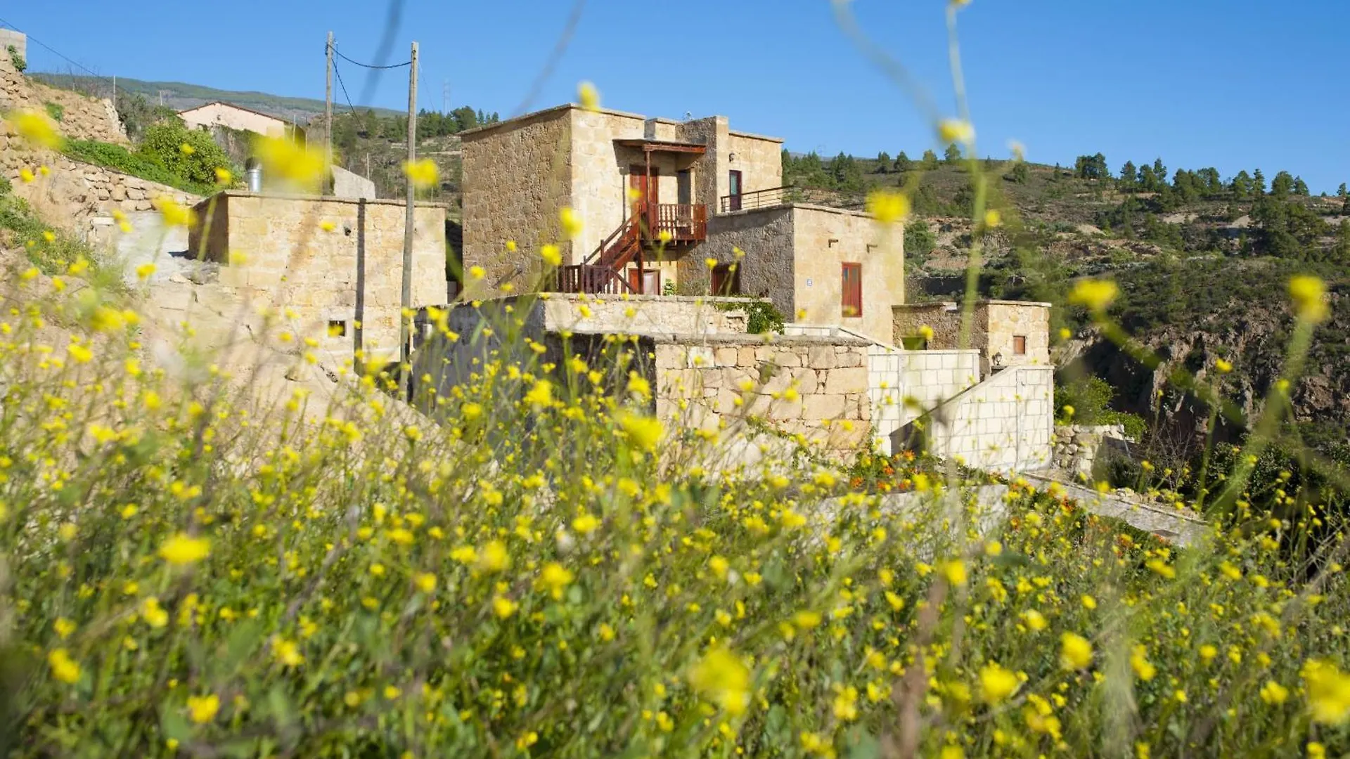 Dom wakacyjny Willa Casa Con Bodega Tradicional Y Jardin Privado En Arico Pet Friendly Hiszpania