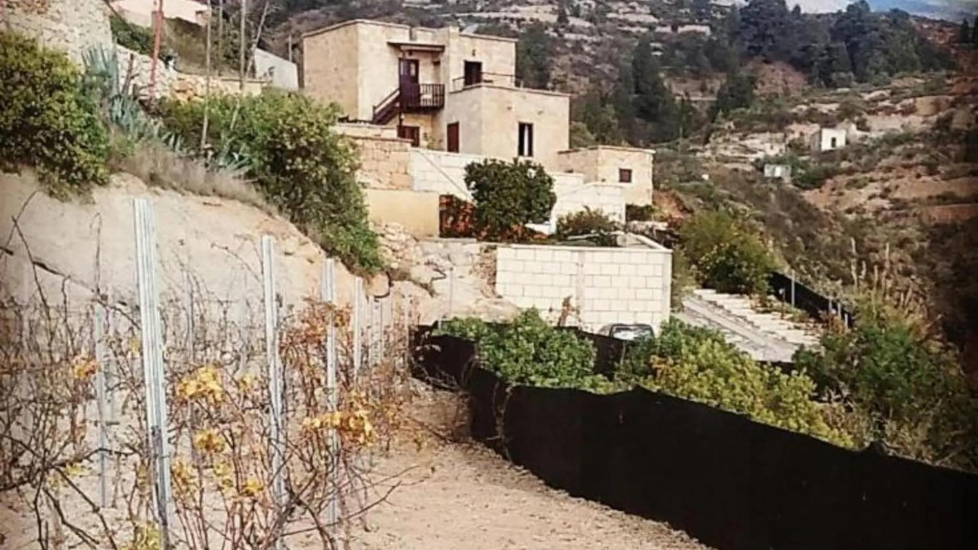 فيلا Casa Con Bodega Tradicional Y Jardin Privado En Arico Pet Friendly بيت للعطل